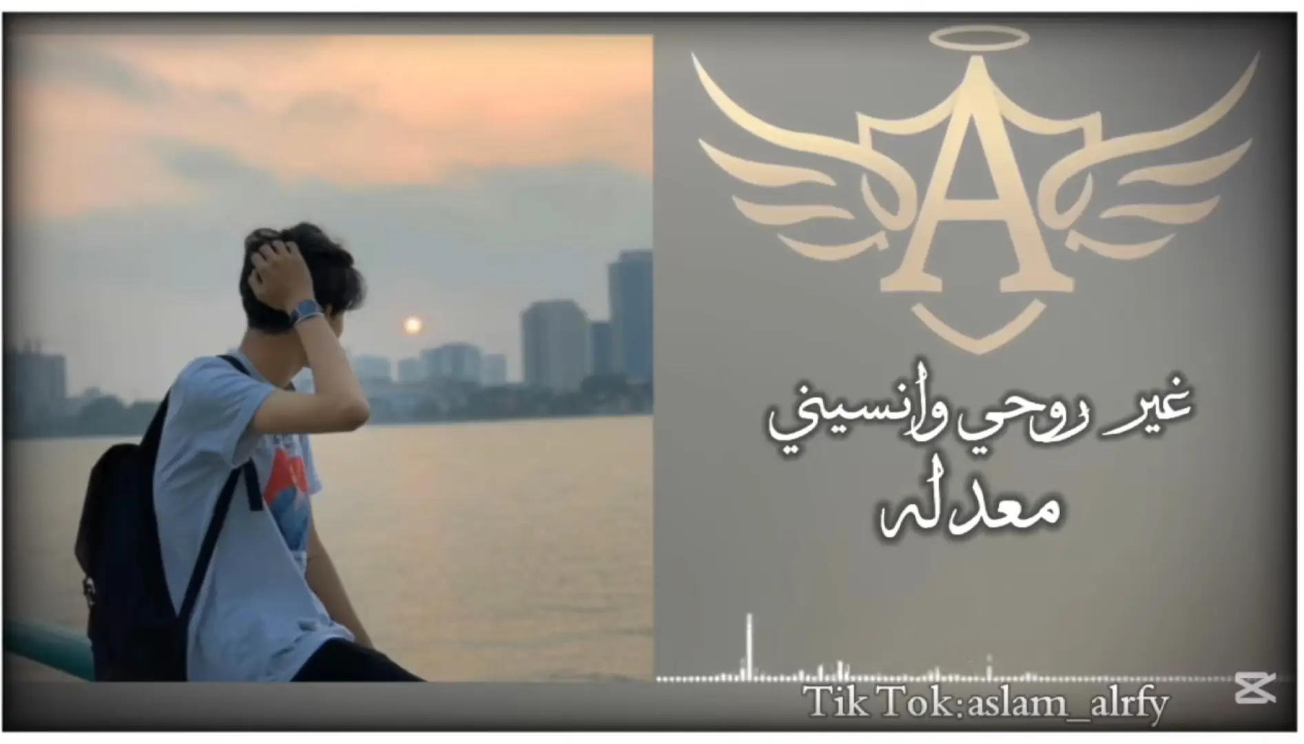 #شعب_الصيني_ماله_حل😂 اغاني مطلوبه جدا جدا لايكات 