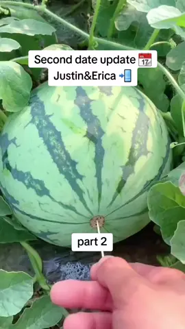Justin&Erica part 2  #seconddateupdate #treanding #seconddate #jubalshow #trendingnow #brookeandjubalinthemorning #brookeandjubleshow #phonecalls #100k #fyp #videoviral #creatorsearchinsight 