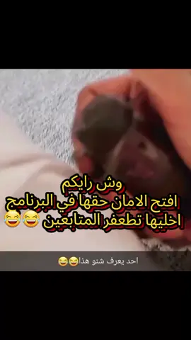 @مــحــزم ســــنـــافــــي515🦅 @امــــــل ❣️ @العنوود 🦋🇾🇪 @ابــو يافــع🦅 @والله متغير🥀❤️‍🩹 @درعہ سہنہآفہيہ 515 @روآن @مصمم يمانيMr🇰🇼 @ماوحشتكك @ابـ 𓀍ن اليمـ 𓄂🏴‍☠️𓆃ن @بن عـِــــبـيـــــد ..516✌️ 