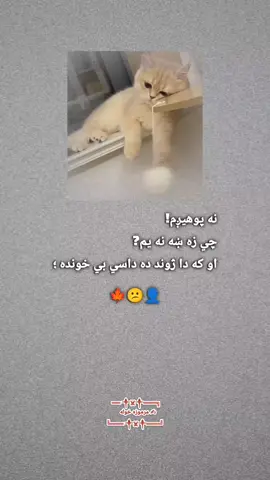 #مرموزه_خوله #ملتياموغواړم📚✍️ #foryoupage #ژوند#ژوندی_دې_وي_لوی_افغانستان #ستړی__ژوندبیوفا__دنیا💔🥺💔 #ژوند 