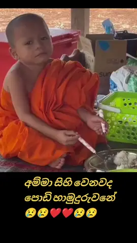 මට බත් කැව්ව අම්මා බඩගින්නෙ ඉඳන් #Buddhism #SelfControl #amma #Love 