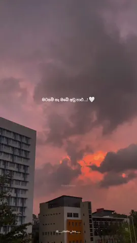 මෙහෙම කියන්න කෙනෙක් නැති මම 🥹 #hatharakendare #Love #piyathrajapakse #shihanmihiranga #weplus #onemillionaudition #evenings #sinhalasong #sinhalatiktok #sinhala #status #tiktok #sl #CapCut #sliitlife #sliit #SLIIT #sliituni #goviral #viral #fyp #fyppppppppppppppppppppppp #foryoupage @SLIIT.life @Piyath Rajapakse @Shihan Mihiranga 