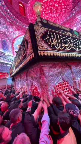 #السلام_عليك_يااباعبد_الله_الحسين_عٍ ##مشاية_الامام_الحسين #العتبة_الحسينية_المقدسة #الحسين_ثورة_خالده #الحسين #كربلاء #كربلاء_المقدسة #كربلاء_مدينة_العشق_والعاشقين 