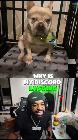 IF YOURE DOG IS COOKED YOURE BANNED😂😂🐶🐶 #tbvnks #tbvnksclips #tbvnkslive #dogs #fyp 