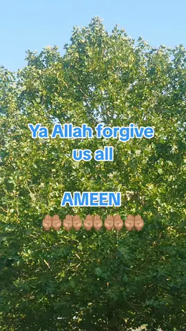 #Dua #islamic_video #Allah #muslimtiktok #Islam 