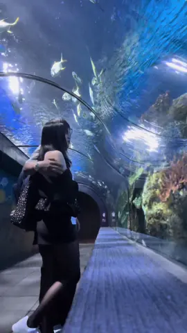 🤍 #couplegoals #angkoraquarium 