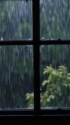 Rain Sound. Thunder Sound. ASMR #asmr #sleep #relax #rainsounds #windows #forest 