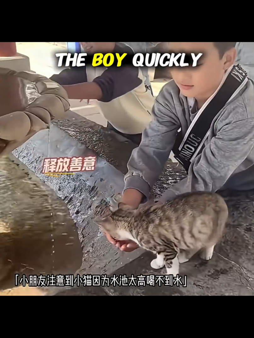 BOY HELPS THIRSTY CAT_ Then This Happens #zackdfilms #zackdfilm #crashoutzack