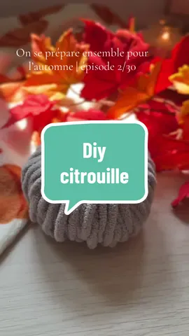 À défaut de trouver des décorations d’automne, je vais les créer moi-même 🍁  La première déco est cette petite citrouille que j’ai réalisée avec une partie de bouteille en plastique, un bout de rouleau et une pelote trouvée chez @@actionfrance✨ Ça donne un rendu chaleureux avec cette matière je trouve 🧡 ##falldecor##fallvibes##fallaesthetic##pumpkinseason##falldiy