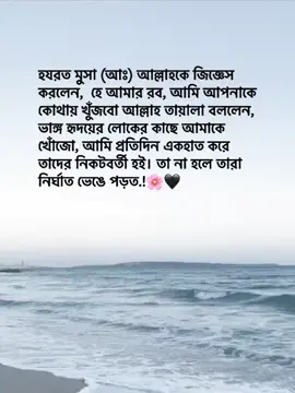 হযরত মুসা (আঃ) আল্লাহকে জিজ্ঞেস করলেন,  হে আমার রব, আমি আপনাকে কোথায় খুঁজবো আল্লাহ তায়ালা বললেন, ভাঙ্গ হৃদয়ের লোকের কাছে আমাকে খোঁজো, আমি প্রতিদিন একহাত করে তাদের নিকটবর্তী হই। তা না হলে তারা নির্ঘাত ভেঙে পড়ত.!🌸🖤 #viralvideo #foryou #100k  @TikTok Bangladesh 