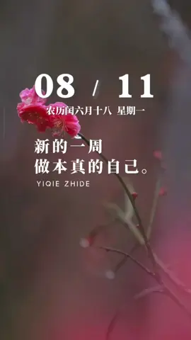 今天是8月11日，星期一，早安。人生本就是在试错中前行，接纳过往的不完美，才能更从容地走向前方。做本真的自己。不跟自己较劲，日子自然会舒展。新的一周，愿我们都能在接纳中从容，在本真里自在，一步一步，踏实向前…加油！