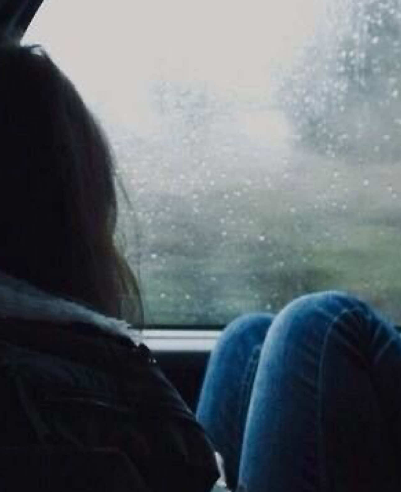#twilight #сумерки #белласвон 