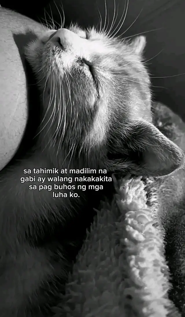 #tik_tok #tpyシforyou #viraltiktok #shy #typppppppppppppppppppシ #typ #ty #sad #typシ #breakdown #zxycba #typpp #tired #makeup #typmokotiktok
