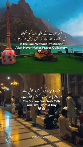 Beshek Repost Request ❤️‍🩹💫🫀  . . . . . . . . . . . #reels #explorepage✨ #reelsinstagram #trendingreels #kaamkibaat #aestheticedits #tanvi_writex 
