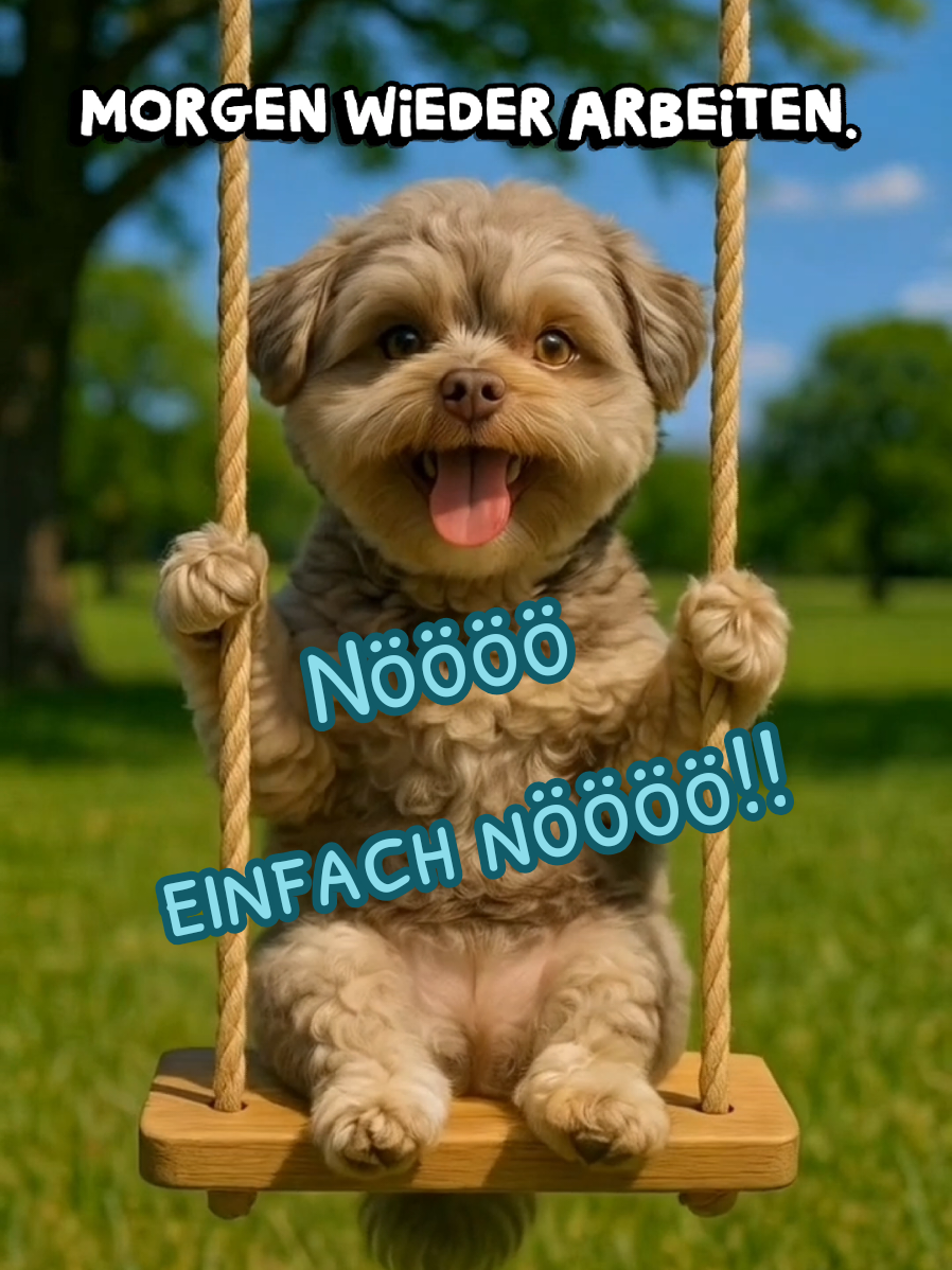 #cutedog #dog #süßerhund #sweetdog #duplo #hund #dog #dogtok #dogfun #arbeiten #arbeit 