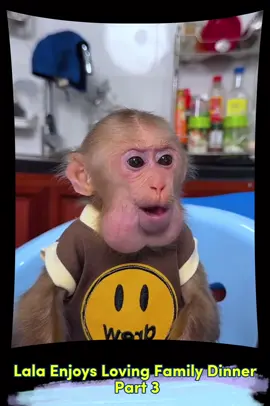 Lala Enjoys Loving Family Dinner #olebrandselect #lalamonkey #bibi #babymonkey #bunfamily #lalafamily 
