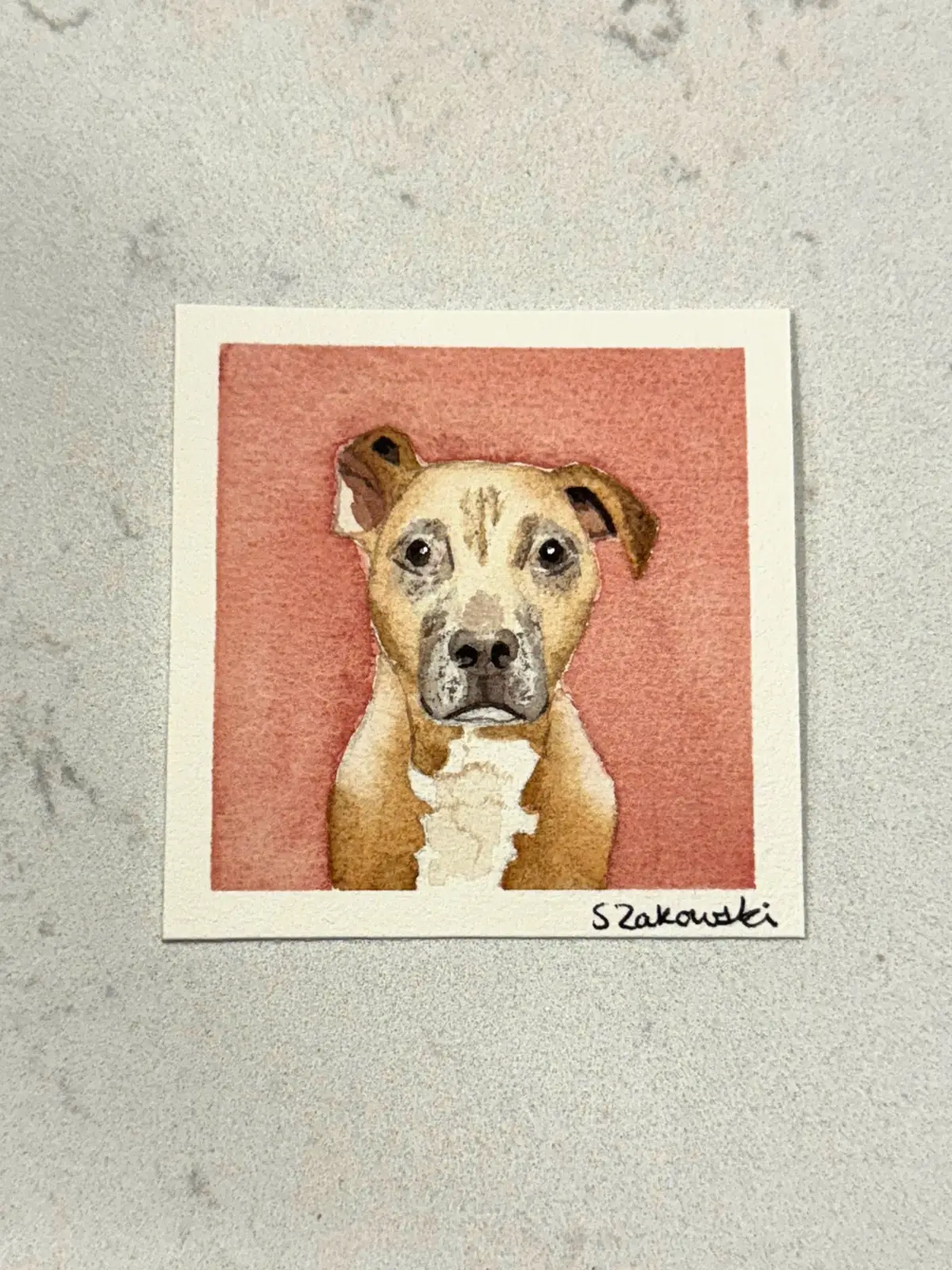 A friend of mine painted this portrait of my baby! I miss her so much 🌈🐾 #petportrait #petgrief #dogsoftiktok 