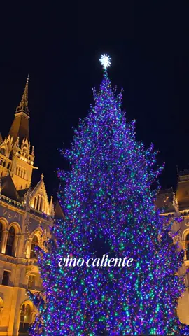 Una navidad de película es posible 🤩. Comenta si prefieres un tour o una experiencia a tu medida 🔥