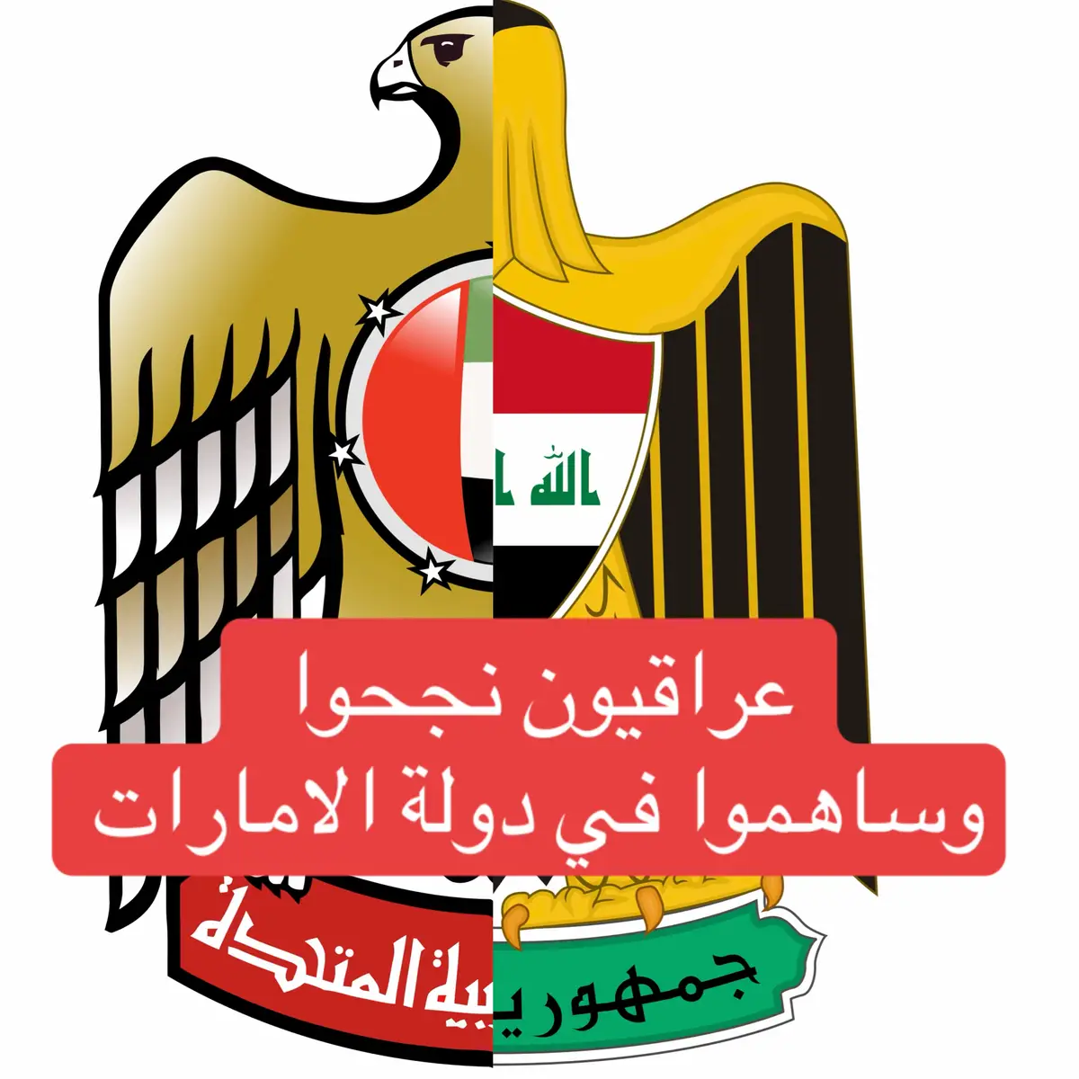 #iraq #unitedemirates #dubai #baghdad 