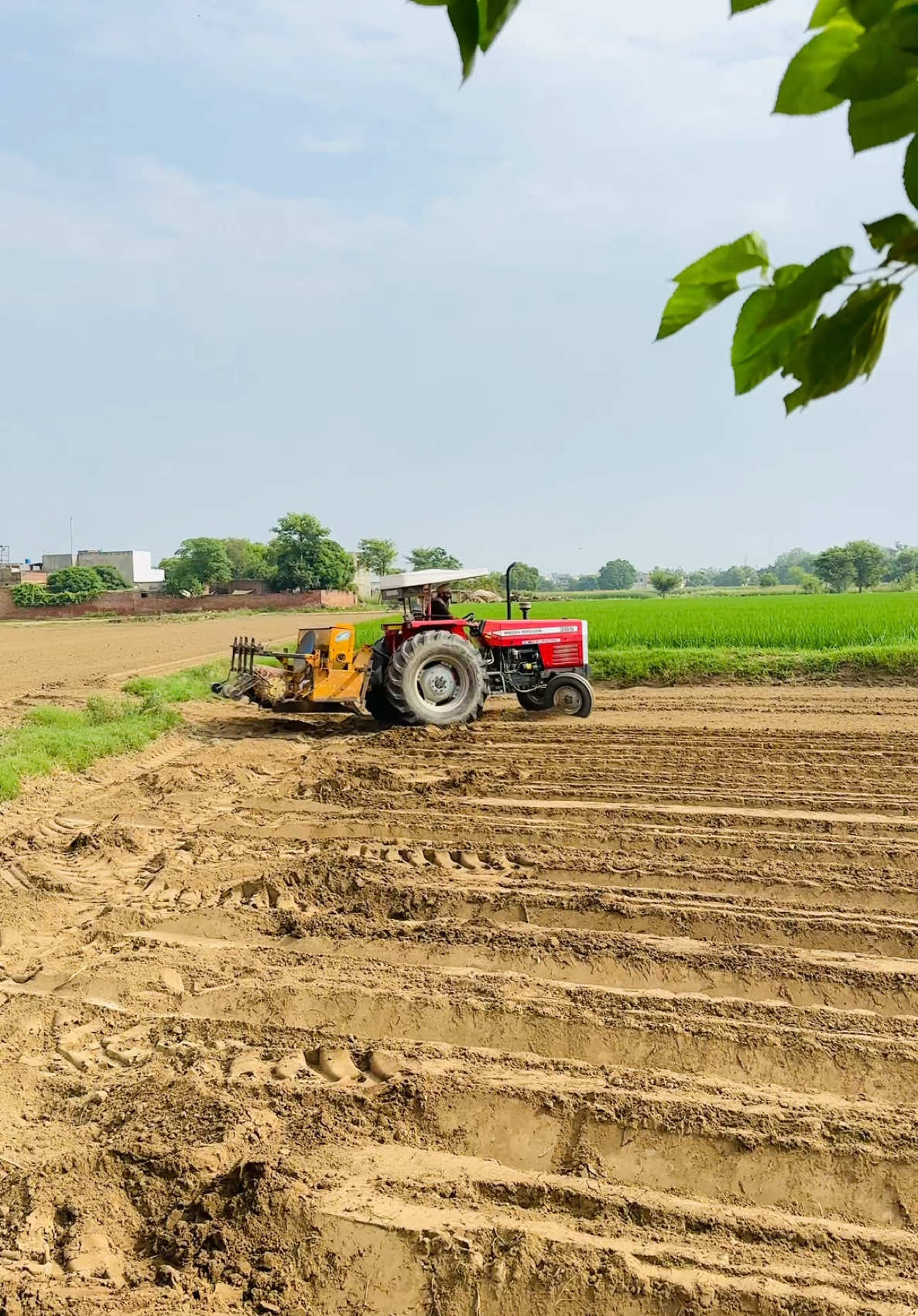 Instagram (sardar farming )#sardarfarming #foryou #imrankhan #pti #punjab #tiktok #tractor #kisaan #india #farmerlife #sidhumoosewala #pakistan #agriculture #Uk #punjabisong #viraltiktok #viral 