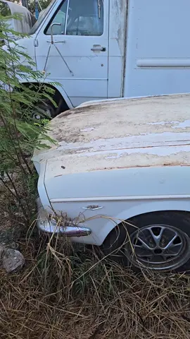 1965 Mustang rusty in Hawaii