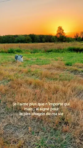 L’amour de ma vie 