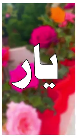 #ساڈے اجڑے دل دا حال نہ پچھ 💔😓😰🙏🙏#foryou#foryoupage #viral #video #grow #account #trending#videoviral #trendingvideo #saraiki__status #saraiki #saraikipoetry #tredingpoetry #poetrystatus #poetry #سرائیکی #سرائیکی_وسیب #سرائیکی_جنون #plzzzzzzz TikTok don't under view my video💔😓🙏#plzzzzzzzzz TikTok unfreeze my account😰💔🙏@احترام یار2.0 