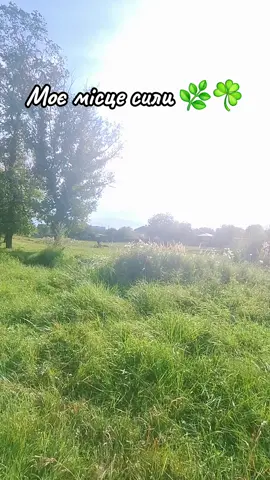 Ліс-моє місце сили!💪🌲 тиша,повітря,простір-усе що допомагає наповнитись енергією❤️☘️