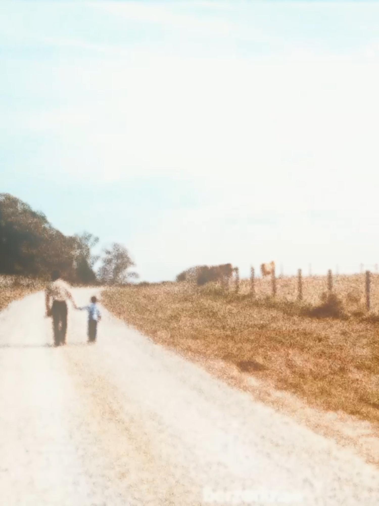 Dearl carl︱ song : Radiohead - Motion Picture Soundtrack ︱ #twd#thewalkingdead#twdedit#thewalikingdeadedit#rickgrimes#edit#fyp#radiohead