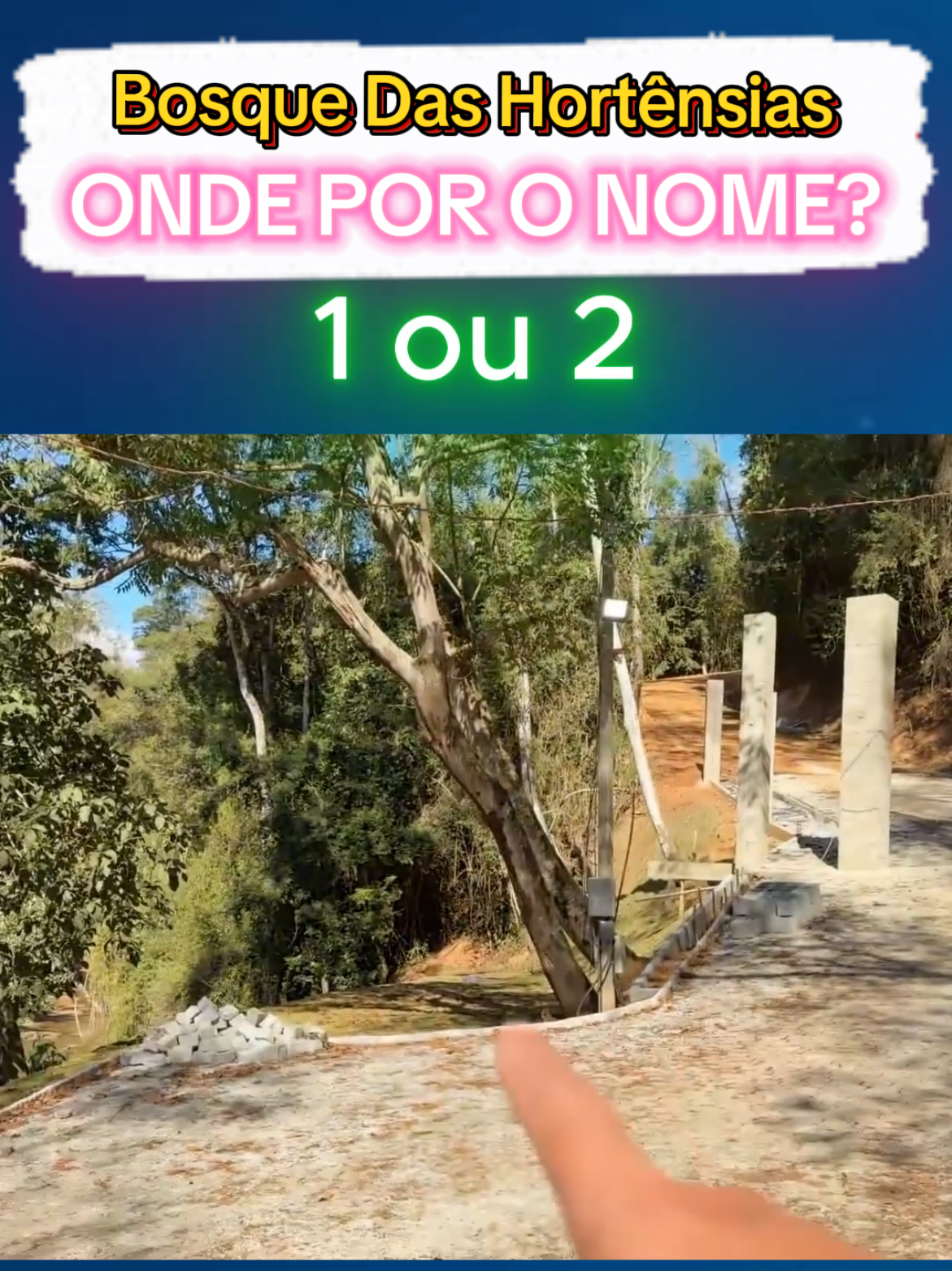 Onde por o nome Bosque das Hortênsias ?  #venom #extreme #venomextreme #venomextremereal #oficial #bosque #hortensia #hortensias #nome #onde 
