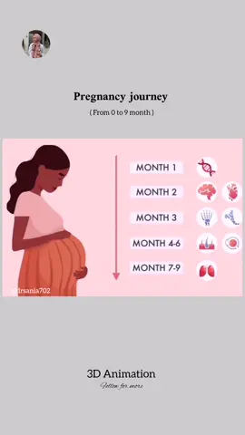 Pregnancy journey from 0 to 9 month. . #tiktokviral #onlyforyou #capCut #pregnancy #1millionaudition #fyp #foryoupage @☘️MBBS Doctor ☘️ @dr Zainab @doctorlaiba04 @🩺MBBS Dr Zainab 🩺 @Maulana Haleem Syed Hashmi 