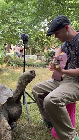 Le clin d’œil à la fin 😭😭 #animaux #tortue 
