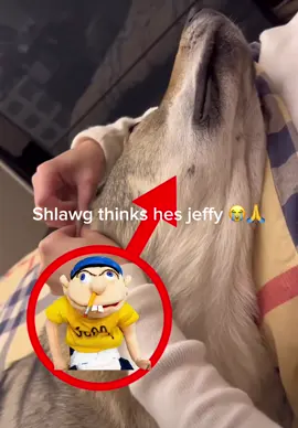 Bros not jeffy😭✌️ #sml #smljeffy #shlawg #supermariologan #fyp #nieche 