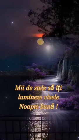Noapte bună !
