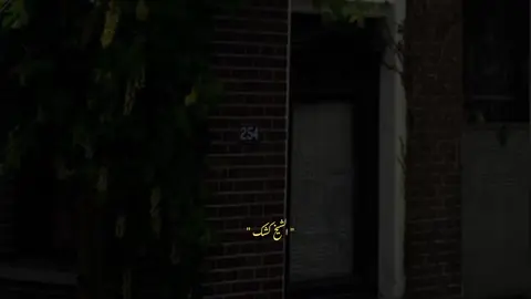 #صلي على النبي صلى الله عليه وسلم #الشيخ _كشك #