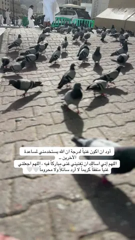 العطاء والغناء بكل شي مادياً ومعنوياً#videoviral #اكبسلووور #explore #الشعور #الرضا_سر_السعادة #الرزق_على_الله #امين_يارب🤲🏻🥀🕊️ #حمام_الحرم #السعادة_لقلوبكم🌹 