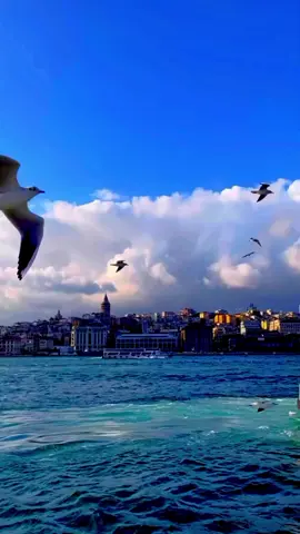 #fyppppppppppppppppppppppp #viralvideos🇹🇷 #turkey🇹🇷 #growmyaccount #fyp 