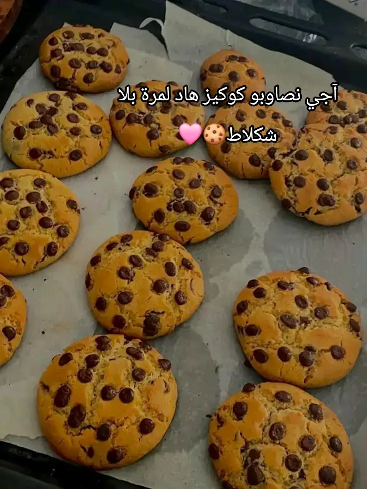 #الشعب_الصيني_ماله_حل #المغرب🇲🇦تونس🇹🇳الجزائر🇩🇿 #الشعب_الصيني_ماله_حل😂😂 #كوكيز🍪 #كوكيز 
