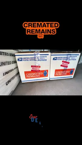 The time I had to pick up Animal Cremated remains!!! 🐾🐕‍🦺🐈‍⬛🐈 #viral #fyp #foryoupage #specialdelivery #usps #cremation #crematedremains #cremation #deadanimal #travel #mail #maillady #ruralcarrier #rca 