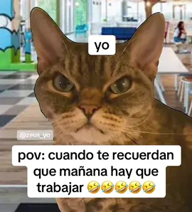 #parati #fyp #meme #memecut #viralvideos #viraltiktok 