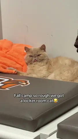 This has been a weird fall camp😂