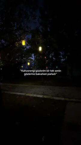 Gözlerimden anlasın.💔#keşfet #fypシ #tiktok 