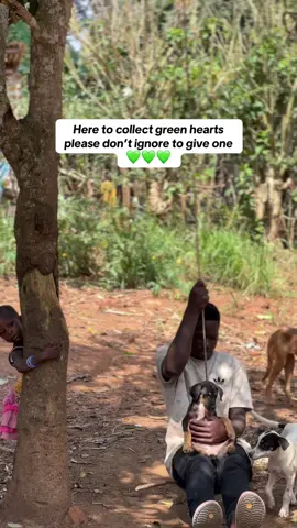 Your akind soul who stayed and commented to help us go viral  #badrudogshelter  #fyppppppppppppppppppppppp 
