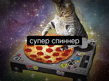 супер спиннер😼 #брайнмапс #суперспиннер #2017 #текст #кот #рекомендации #текстпесни 