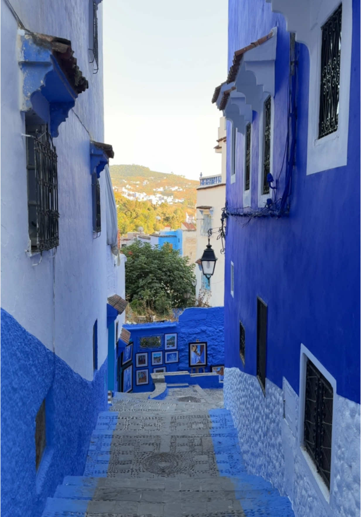 Chefchaouen 😍 . #chefchaouen #شفشاون #شفشاون_الجوهرة_الزرقاء #morocco🇲🇦 #المغرب🇲🇦 #المغرب🇲🇦تونس🇹🇳الجزائر🇩🇿 #explore #tik_tok #reels #follwerme 