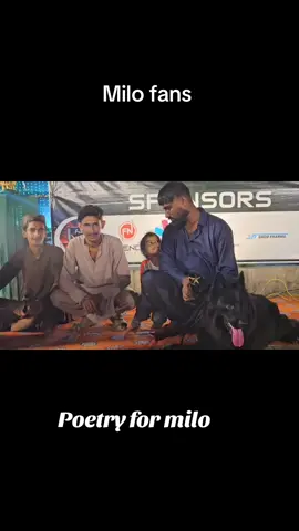 @Furqan Mirza @👑zakir Rajput 👑#foryou #tiktokpakistan #onemillionaudition #viral #fyppppppppppppppppppppppp #unfrezzmyaccount #dog #pet #dkfans #jhelum #jhelumcrew #foryoupage 
