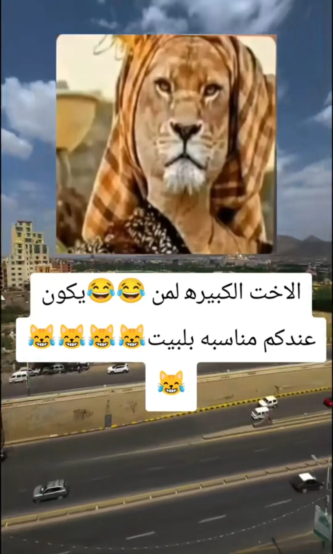 #يني_ماله_حليني_ماله_حل😂😂 #الشعب_الصيني_ماله_حل😂😂 