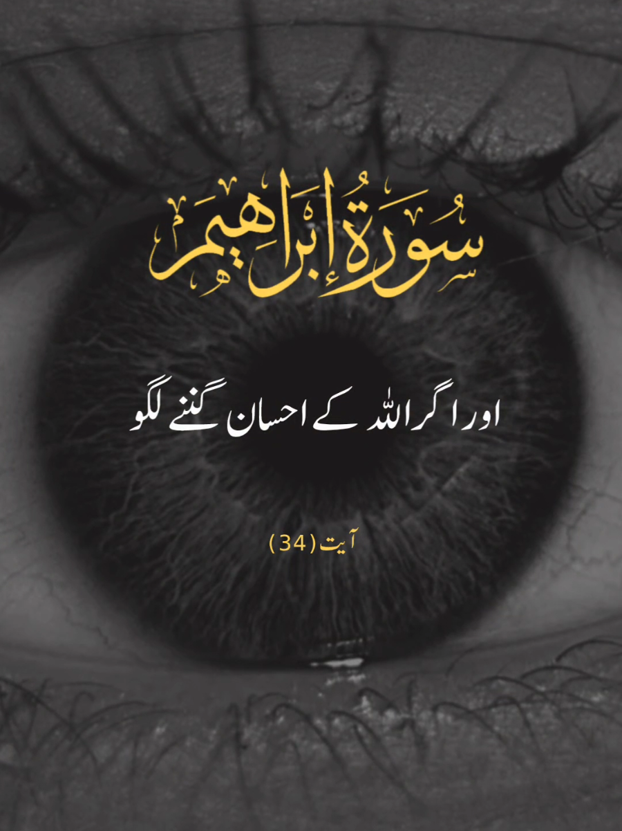 SURAH IBRAHIM 🌸 #viral #tranding #foryou #foryoupage #Allah #quran #urdutranslation #verses #ayat #tarjuma #grow #islam #faani #surahibrahim 
