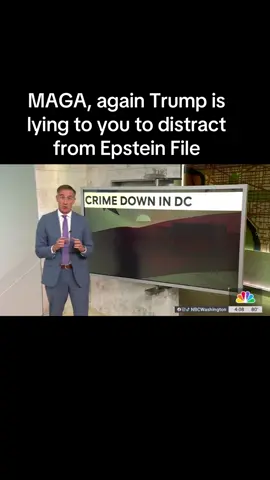 #fyp #maga #politics #trump #epstein 