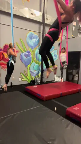 Class 20! Twisty and drop day. Definitely going to have bruises. I’ll figure out camera angles eventually :) #fyp #aerial #aerialhammock #aerialsling #sundayfunday 